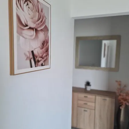 Apartment Ivana Okrug Gornji