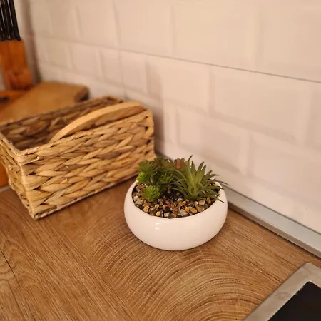 Apartment Ivana Okrug Gornji