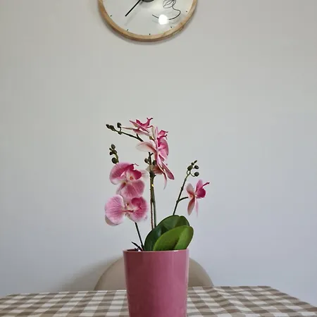 Apartment Ivana
